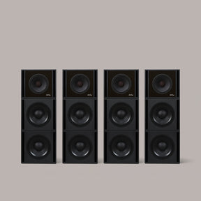 Clarity M Audio System - MasterSounds