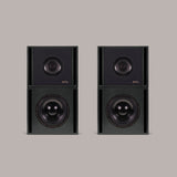 Clarity M-0812 in Graphite Black 2:2 - MasterSounds