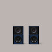 Clarity M-1215 Audio System in Gentian Blue - 2:2 - MasterSounds