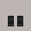 Clarity M-1215 Audio System in Graphite Black - 2:2 - MasterSounds