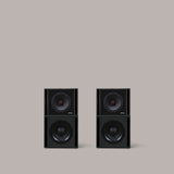 Clarity M-1215 Audio System in Graphite Black - 2:2 - MasterSounds