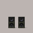 Clarity M-1215 Audio System in Olive Green - 2:2 - MasterSounds