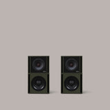 Clarity M-1215 Audio System in Olive Green - 2:2 - MasterSounds
