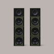 Clarity M - 1215 Audio System in Olive Green - MasterSounds