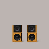 Clarity M-1215 Audio System in Pastel Yellow - 2:2 - MasterSounds